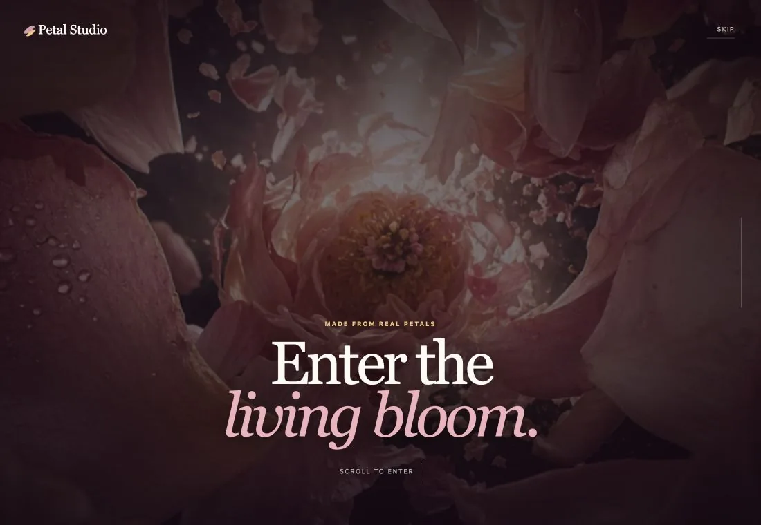 Petal Studio